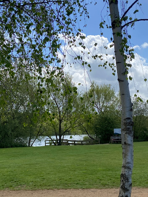 The beautiful greenery and lake views at Ruislip woods and Lido.