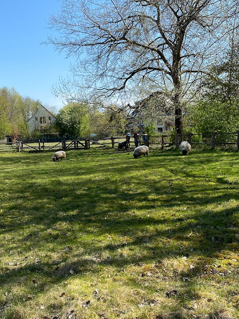 Farmland in Hamburg