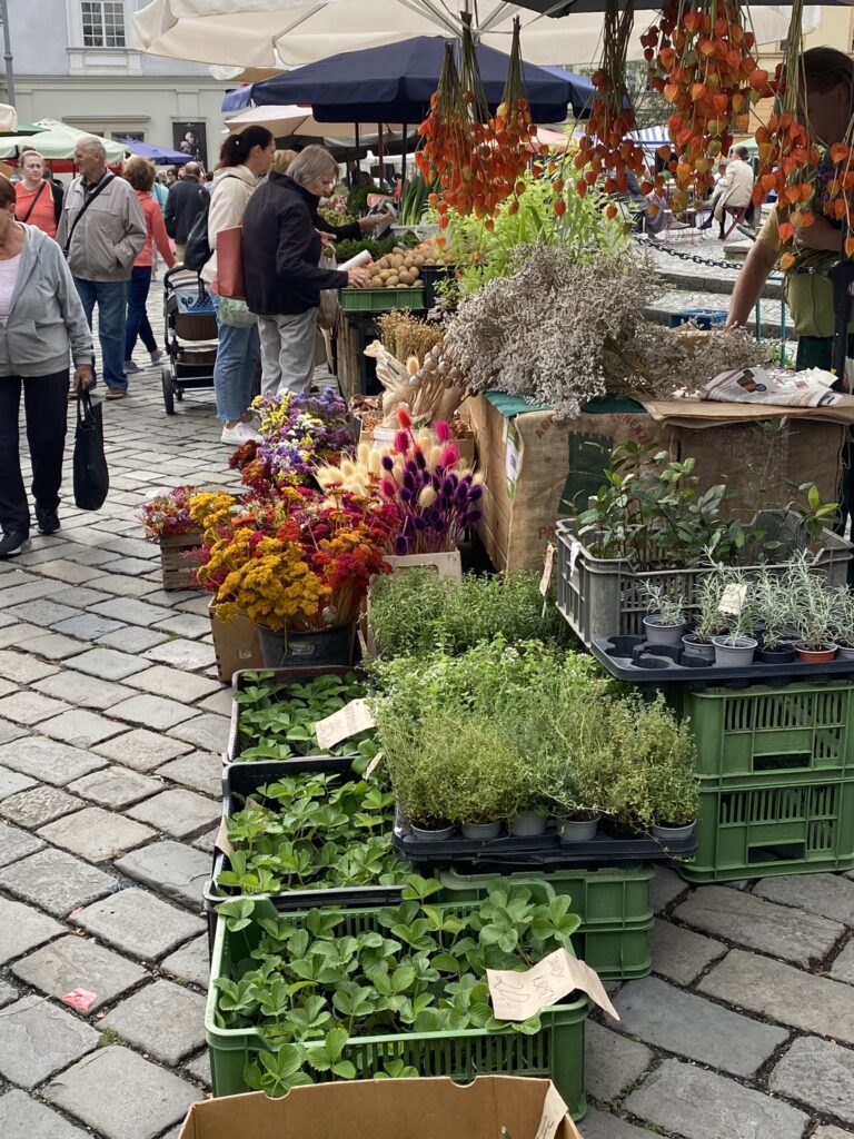Vegetable stall at Brno vegetable market.