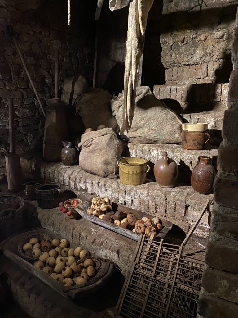 Labyrinth under the vegetable market Brno Views of the food cellar with display of food.