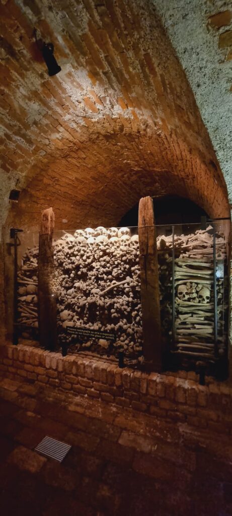 A collection of skulls and bones at the ossuary Brno