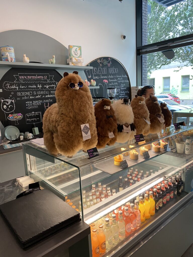 Cafe counter in Yummy Lamy with a line of soft toy llamas on dis[;ay