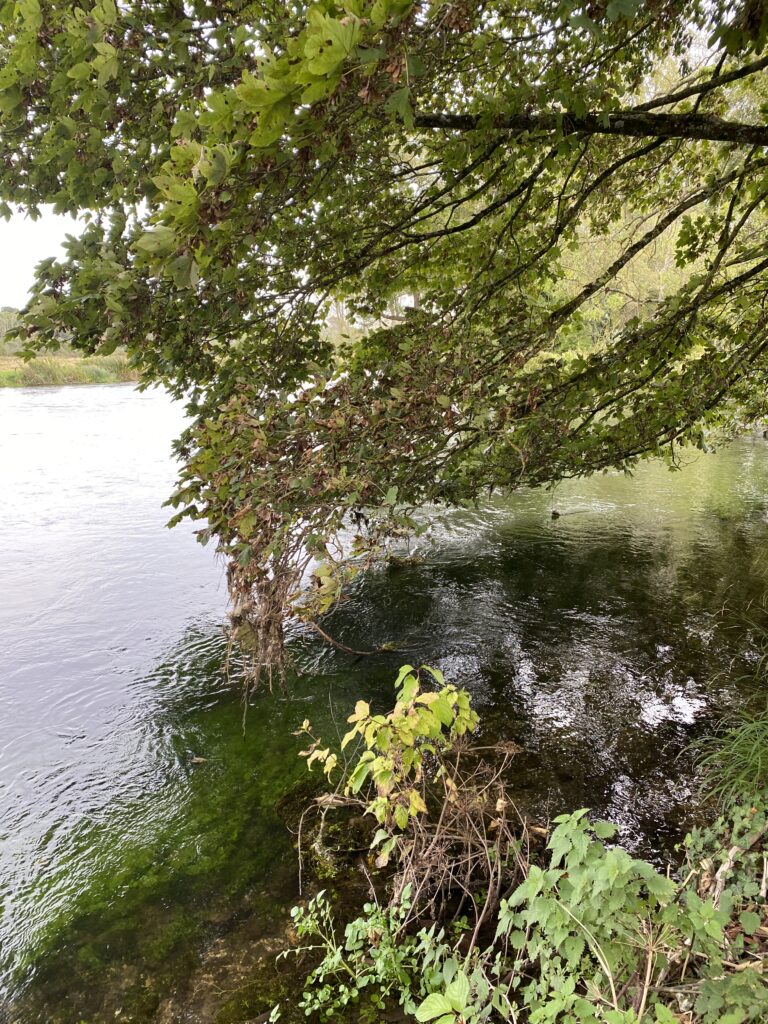 The scenic River Test in Hampshire