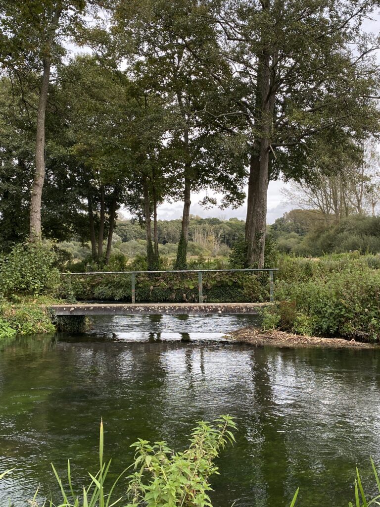 River Test in Romsey Hampshire