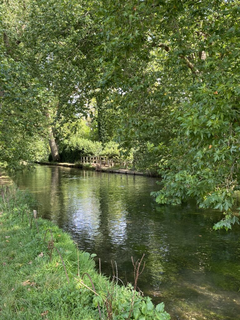The river test in Hampshire