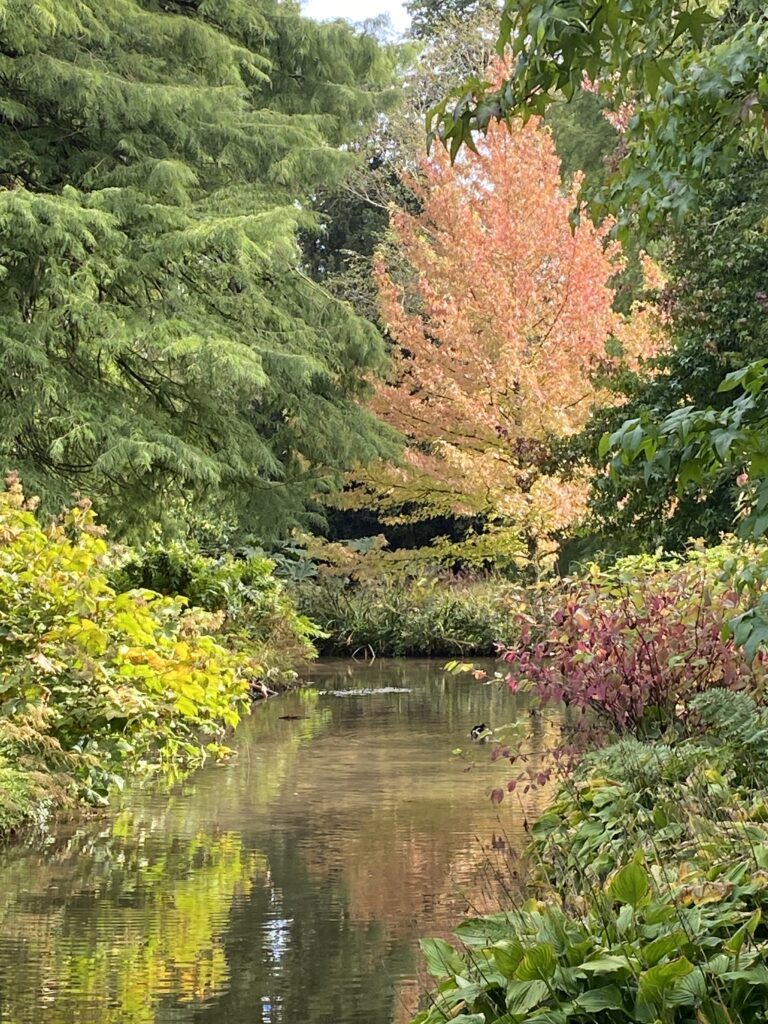 Beautiful autumn at Longstock water gardens Flowers and Foliage