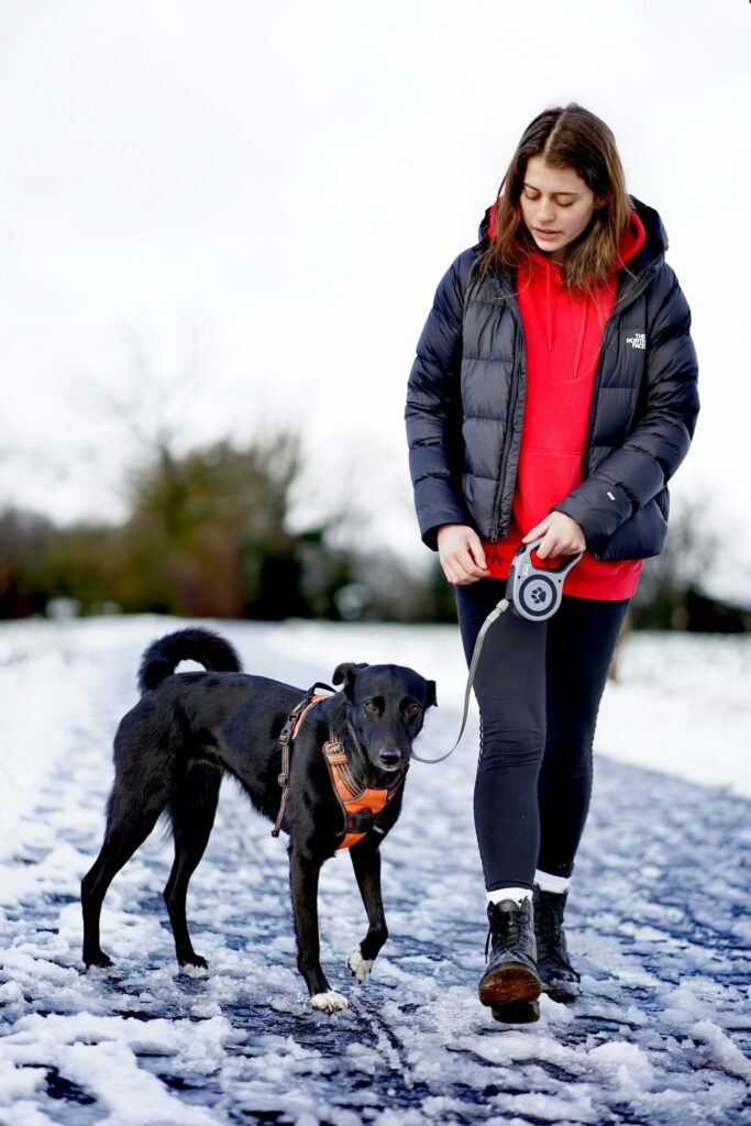 Lady in a coat taking a dog on a lead for a walk