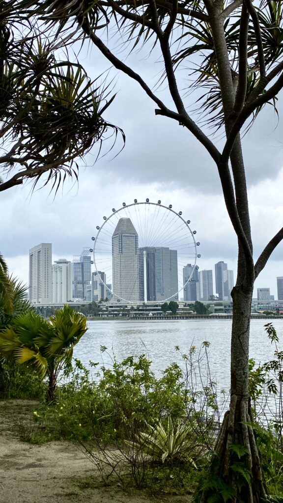 Singapore skyline at day time, showing the marina and ferris wheel