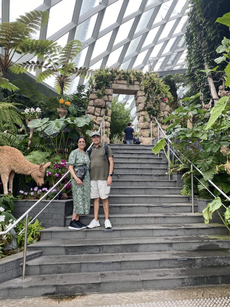 Gardens by the bay flower dome