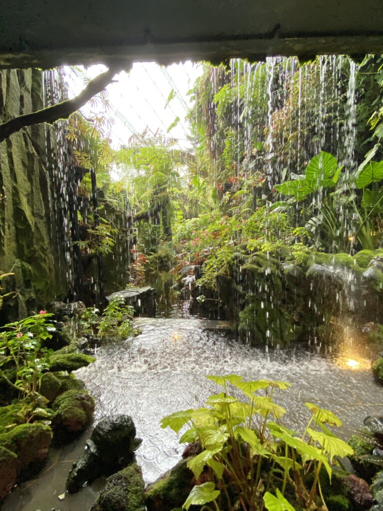 Gardens by the bay cloud forest waterfall in Singapore