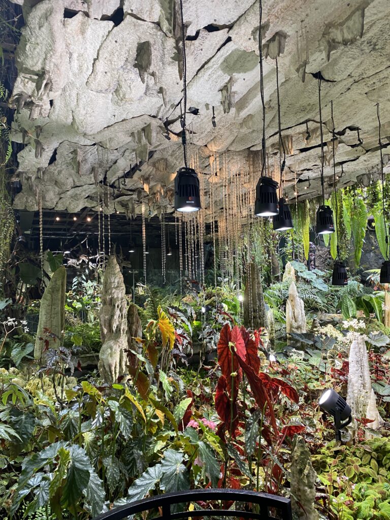 Flower displays at flower dome at Gardens by the bay Singapore
