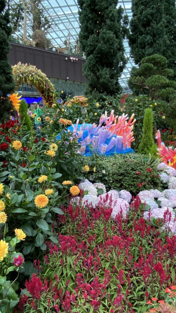 Amazing and colourful exotic flowers at the flower dome at gardens by the bay Singapore