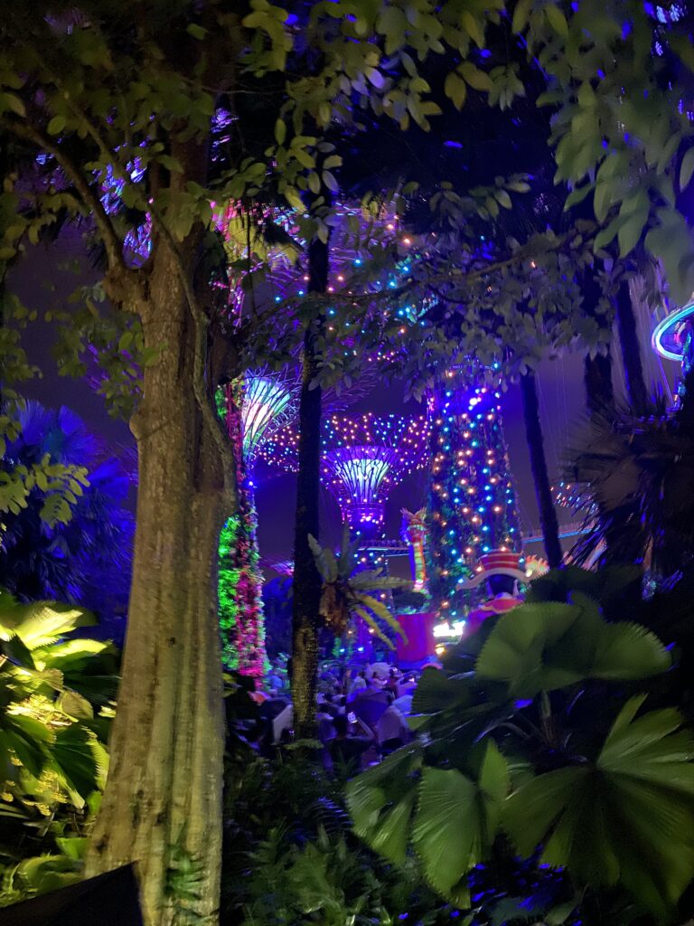 Rhapsody light show at super grove trees Gardens by the Bay