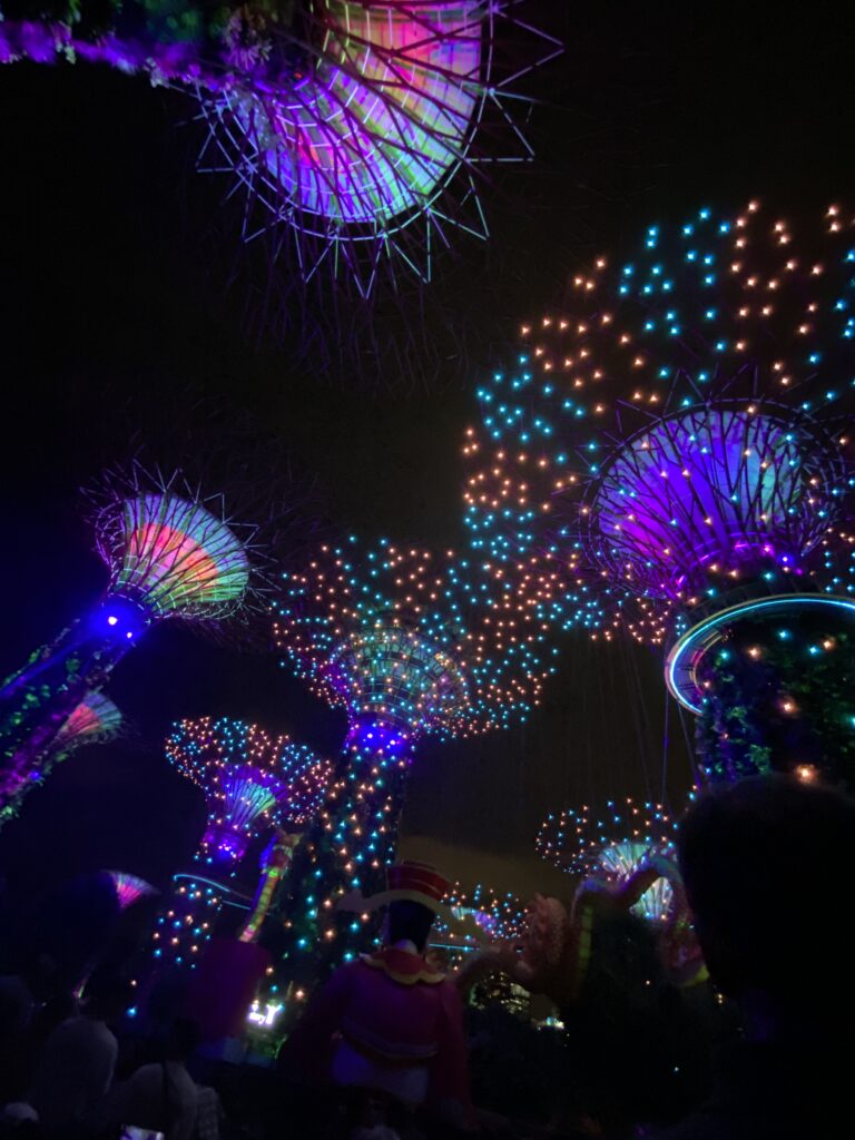 Rhapsody light show at super grove trees Gardens by the Bay, The trees all lit up