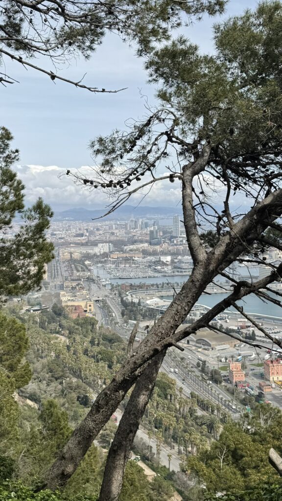 Views from the hill at Park Guell Barcelona