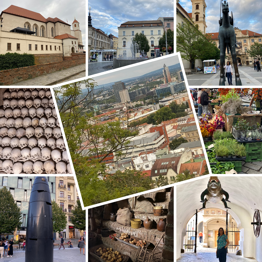 A collage of all the lovely places in Bruno